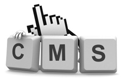 CMS (Content Management Systems)
