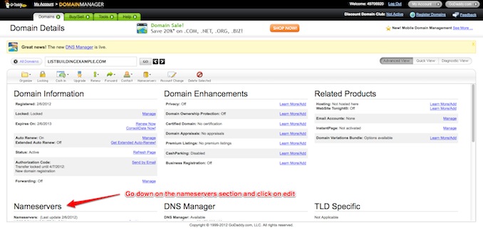 godaddy domain panel options