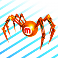 search engine spider